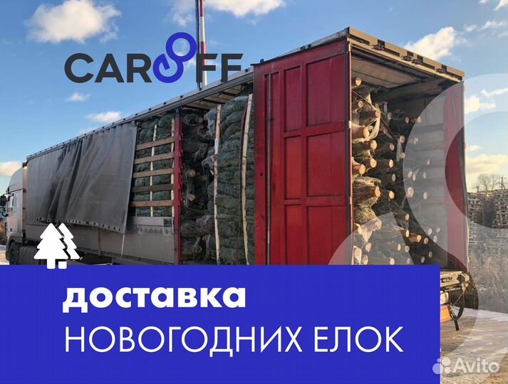 Доставка новогодних елок. Тент фура 10-20 тонн