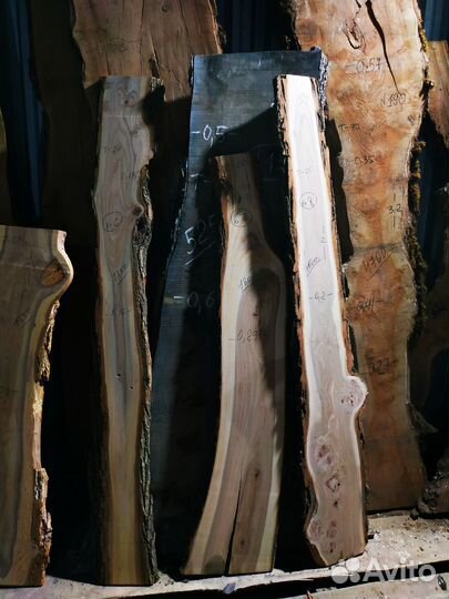 Слэб карагач