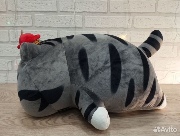 Кот Фараон с пледом