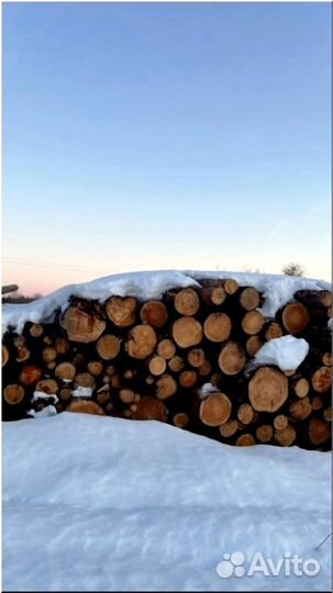Дрова березовые