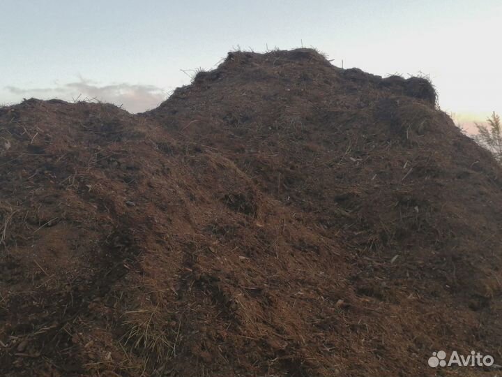 Конский навоз