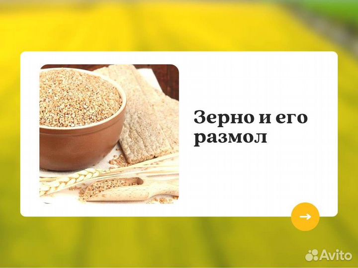 Пшеница Зерно (кг)