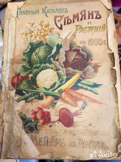 Главный каталог семян и растений на 1908 год