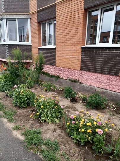 2-к. квартира, 50 м², 1/4 эт.