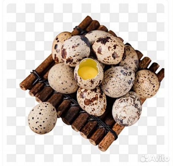 Яйца перепелиные домашние