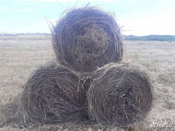 Сено в рулонах