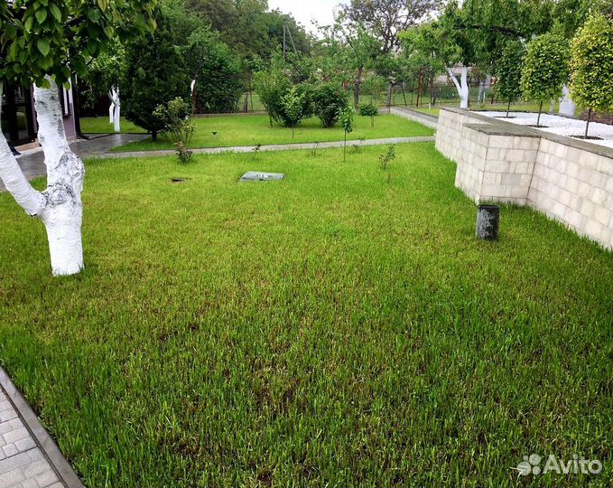 Посев газона под ключ