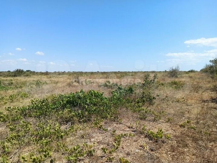 Участок 1,3 га (СНТ, ДНП)