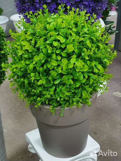 Искусственный самшит, шар самшит