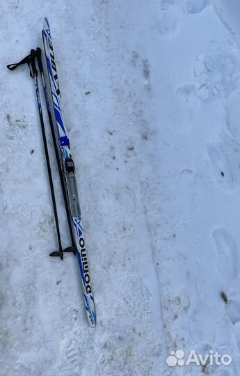 Беговые лыжи Domino sable 160