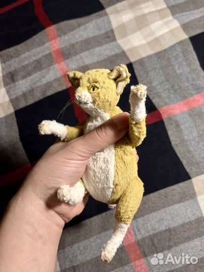 Кот в стиле тедди