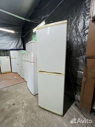 Холодильник бу snaige 185/60/60