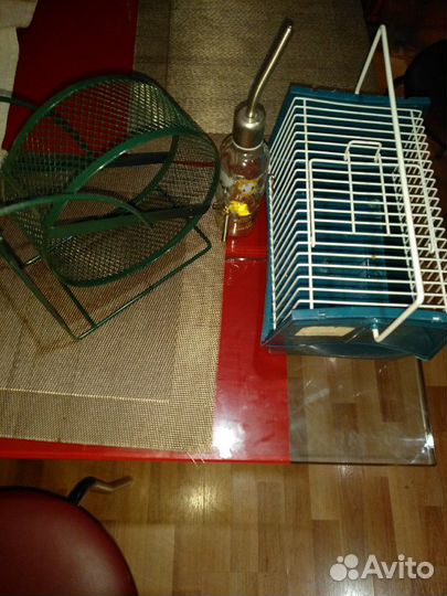 Набор для грызунов