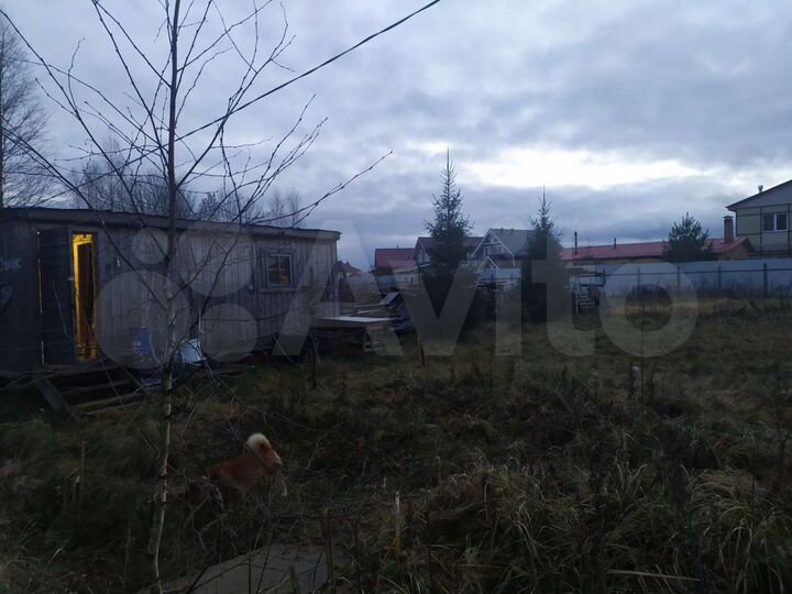 Участок 11,5 сот. (СНТ, ДНП)