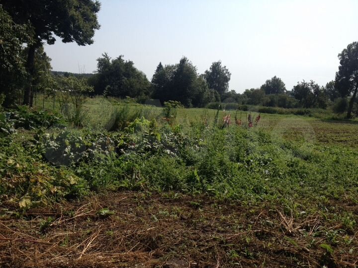 Участок 17,6 сот. (ИЖС)