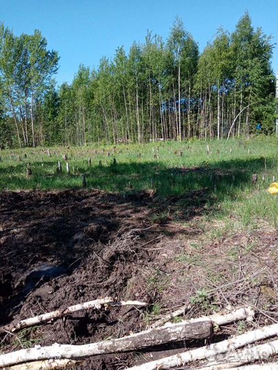 Экскаватор погрузчик