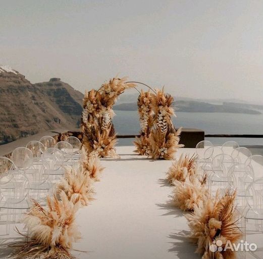 Арки для Выездной Регистрации,Выездная Регистрация