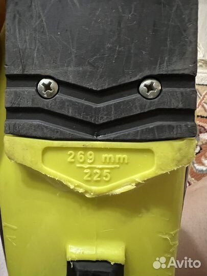 Горнолыжные ботинки dalbello