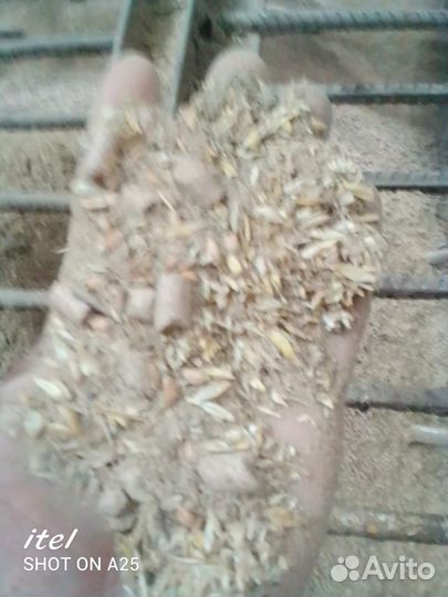 Корма для сельскохозяйственных животных