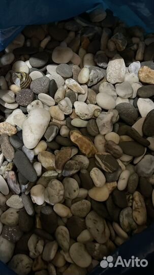 Грот -сундук, Грунт 5,5 и 3 кг, помпа