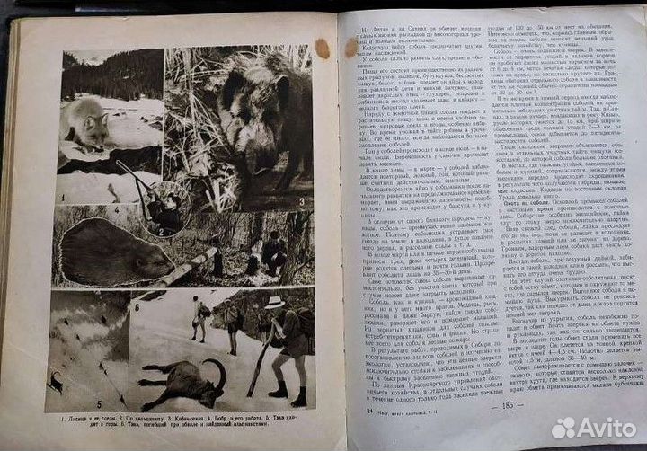 Настольная книга Охотника и Спортсмена. 1956г