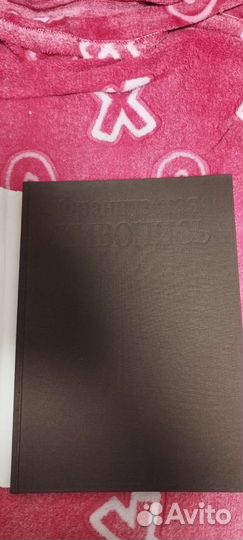 Французская живопись 200 страниц