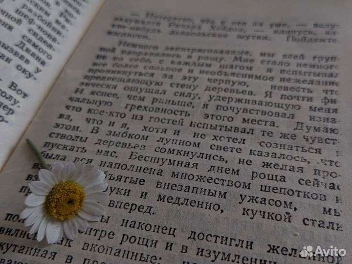 Стихи, сочинения на заказ