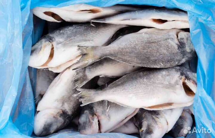 Рыбный магазин с постоянной прибылью