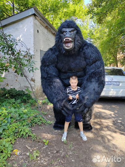 Поздравление от Кинг-Конга 2,6 метра,аниматоры
