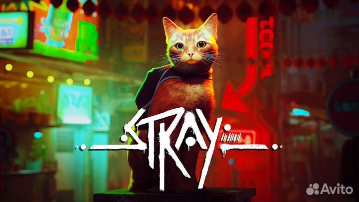 Stray Ps & Ps5