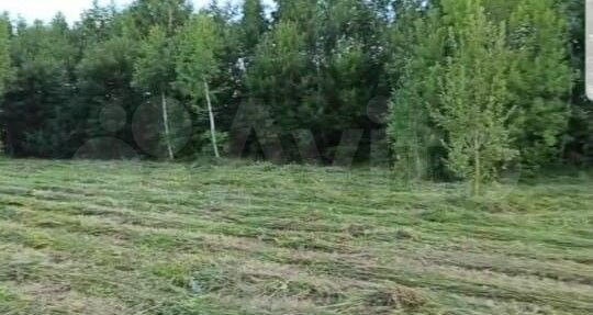 Участок 22,6 сот. (СНТ, ДНП)