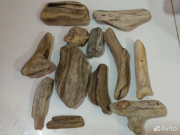 Коряги дрифтвуд