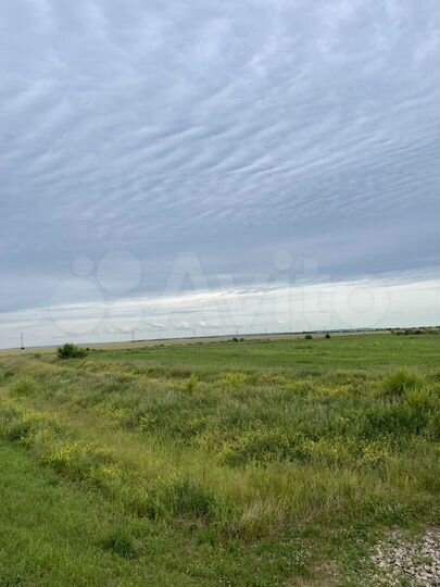 Участок 11 сот. (СНТ, ДНП)