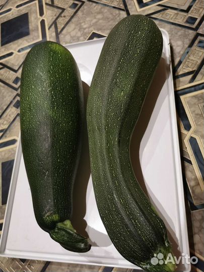 Помидоры томаты домашние