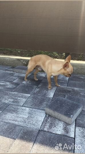 Тротуарная плитка Пропресс заказ от 120 м2