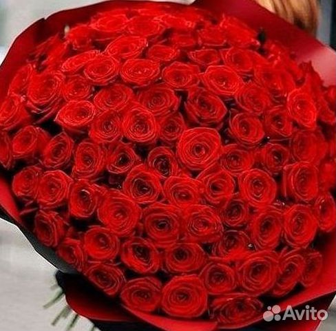 101 роза цветы букеты доставка 25 51 101 роза