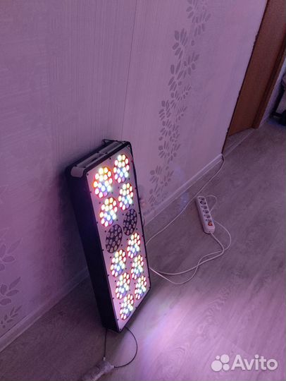 Фитосветильник apollo 12