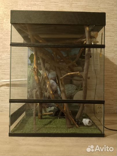 Террариум для рептилий бу