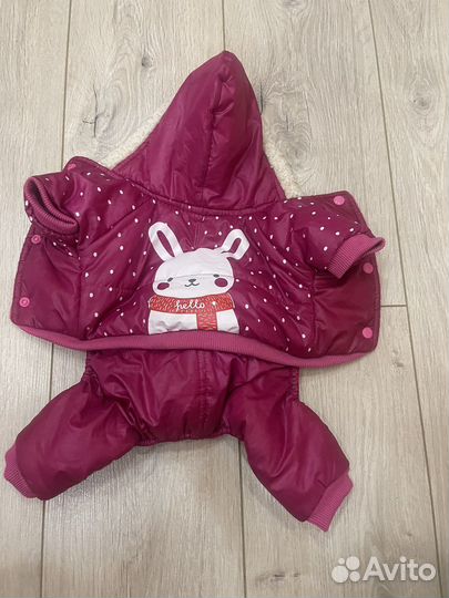 Одежда для собак