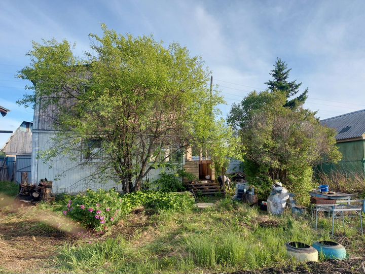 Дом 30 м² на участке 12 сот.