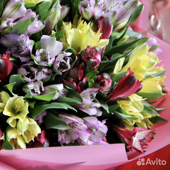 Шикарный букет из альстромерии микс