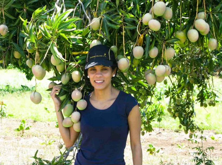 Ищу займ в готовый бизнес, доход 70 годовых
