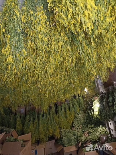 Веник для бани берёзовый дуб