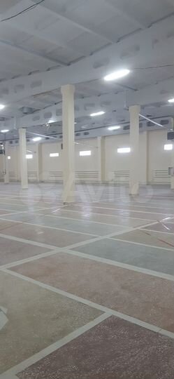 Торговая площадь, 1000 м²