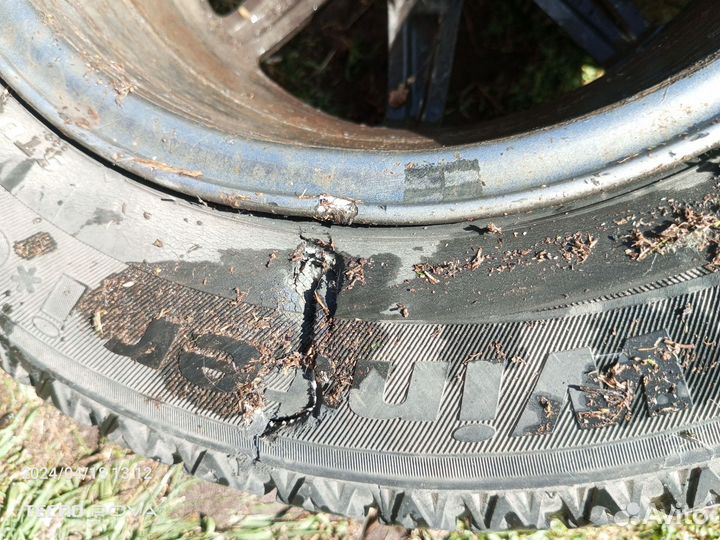 Accelera Eco Plush 175/70 R13C