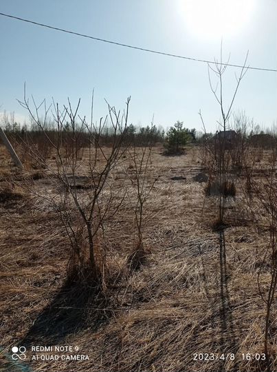 Участок 10 сот. (ИЖС)