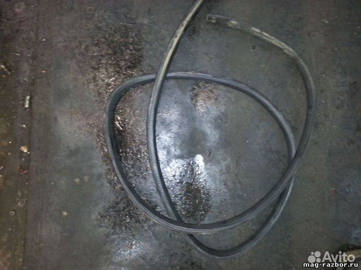 Уплотнитель двери Ford Focus II передний правый