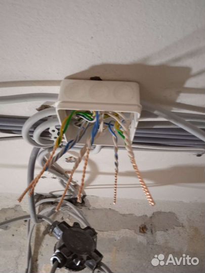 Электрик Ломоносов Солнечный Будённого