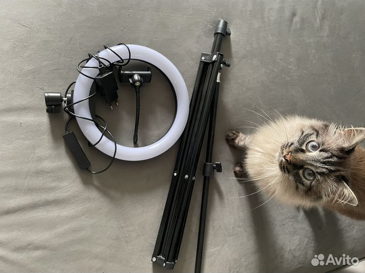 Кольцевая лампа 33 см RGB LED