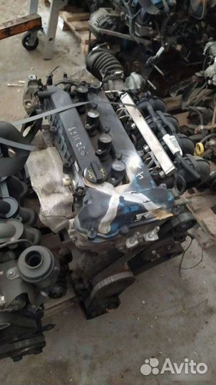 Двигатель Ford Focus 2 qqdb